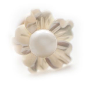 Cercei aur sidef & perle